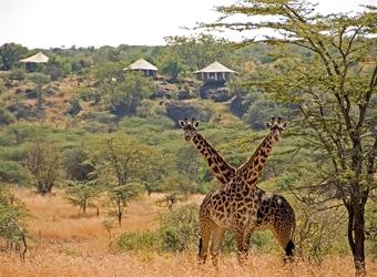 Review: Hemingways Ol Seki Mara Camp in Kenya