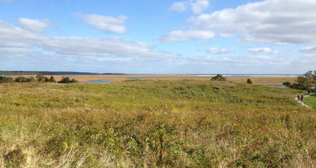 Cape Cod National Seashore