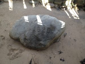 Plymouth Rock